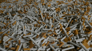 Belgium raids illicit cigarette factory in push to stub out growing trade