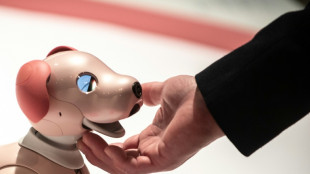 Sony arr&ecirc;te la vente de son chien robot "aibo" au Japon