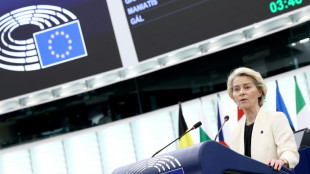 Vis&eacute;e par une motion de censure, von der Leyen face aux eurod&eacute;put&eacute;s