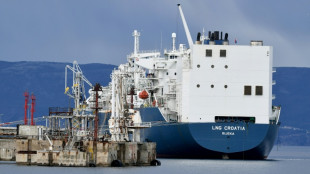 Bosnia approves gas project by Trump-linked investors