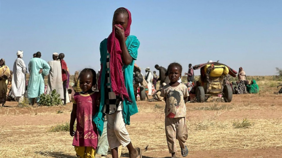 Al menos 14 muertos en un bombardeo en la región sudanesa de Darfur, según rescatistas