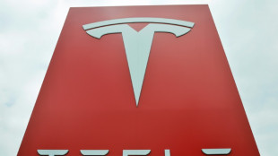 Tesla ruft in China Millionen Fahrzeuge wegen versenkbarer Autot&uuml;rgriffe zur&uuml;ck