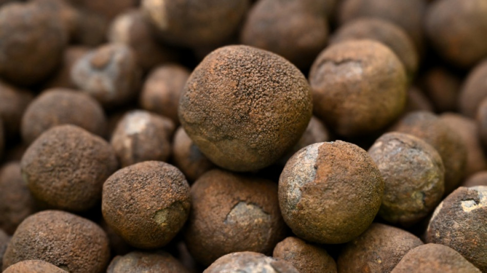 US to auction deep sea mining leases off American Samoa