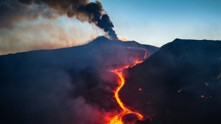 Flughafen auf Sizilien nach Ausbruch des &Auml;tna wieder ge&ouml;ffnet