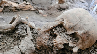 Exhuman dos nuevos esqueletos en las ruinas de Pompeya