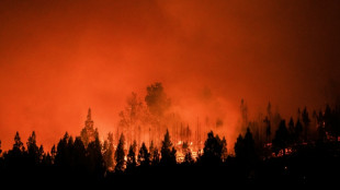 Les feux de for&ecirc;t, la "nouvelle norme" en Patagonie, selon un expert