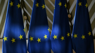 La UE presentó un presupuesto de 2 billones de euros para 2028-2034