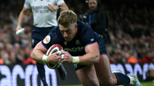Scotland's Steyn expects Six Nations 'fun' against France  
