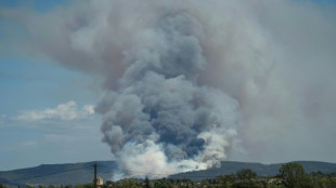 Un feu parcourt 450 hectares près de Narbonne, habitants confinés et A9 fermée
