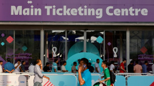 Torcedores denunciam a Fifa &agrave; Comiss&atilde;o Europeia por pre&ccedil;os elevados dos ingressos da Copa do Mundo