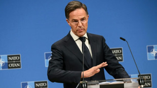 Nato kündigt "zusätzliche Maßnahmen" zur Drohnenabwehr an