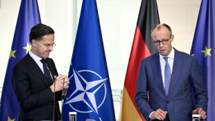 Ukraine: une proposition sur les concessions territoriales soumise à Trump, selon Merz