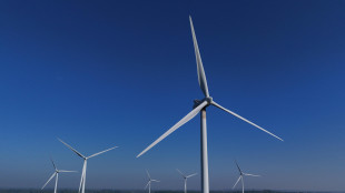 Anie, 'bene il dl bollette ma servono misure strutturali'