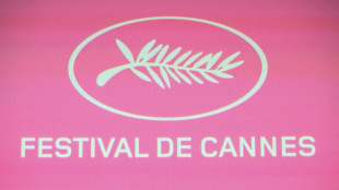Las películas en competición del 78º Festival de Cannes