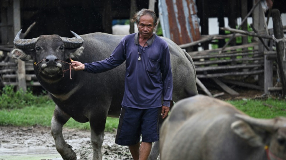 Cambodge-Tha&iuml;lande: malgr&eacute; les combats, certains refusent de quitter leurs maisons &agrave; la fronti&egrave;re