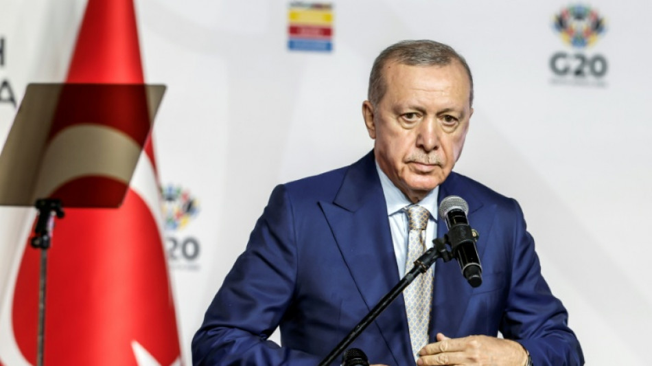 Cuatro a&ntilde;os de c&aacute;rcel para un periodista turco por "amenazas" a Erdogan