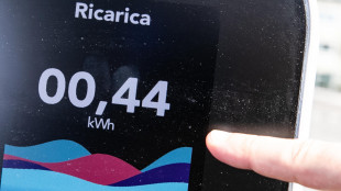 Cop31, obiettivo elettrificazione del 35% dei consumi energetici al 2035