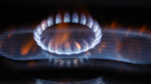 Il gas chiude in forte rialzo sopra i 49 euro ad Amsterdam
