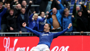 Newcastle inflict more pain on Postecoglou, Everton end Palace's unbeaten run