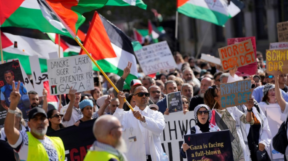 Miles de personas participan de una manifestación propalestina en Copenhague