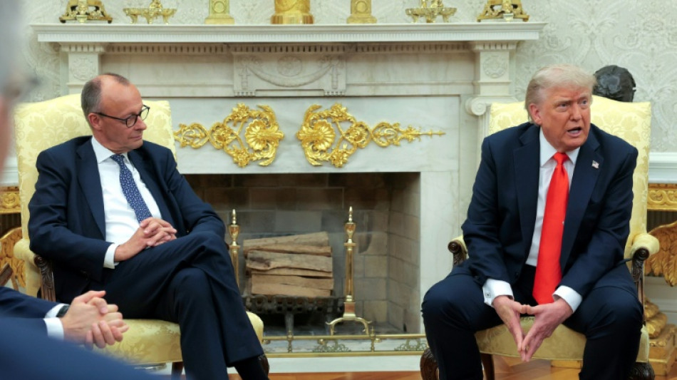 Germany's Merz meets Trump for talks eclipsed by Iran war