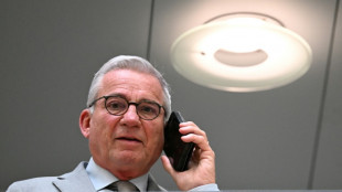 Bisheriger Innenminister Strobl soll in Stuttgart Landtagspr&auml;sident werden