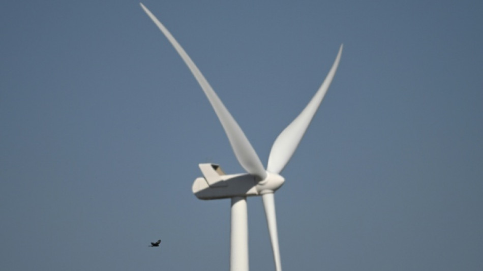 L'Afrique du Sud s'efforce de protéger les oiseaux des éoliennes