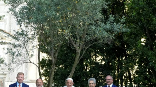 Le pape déplore "la haine que sème" la guerre entre le Hamas et Israël