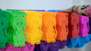 Cidade mexicana do 'papel picado' se enche de arte e cor no Dia dos Mortos