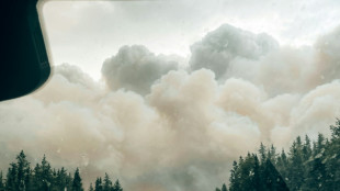 Canada wildfire smoke smashes emission record: monitor