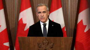 Carney: Vier Soldaten bei Brand auf Armeest&uuml;tzpunkt im Westen Kanadas get&ouml;tet