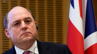 Wallace vergleicht Umgang mit Russland mit Appeasement-Politik gegen&uuml;ber Nazi-Deutschland