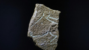 Descubren grabados prehistóricos de la misma época que los de la cueva francesa de Lascaux