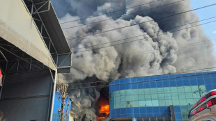 Catorce muertos en un incendio en una f&aacute;brica de piezas para autom&oacute;viles en Corea del Sur