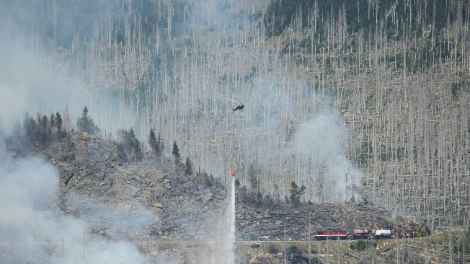 M&uuml;nchner Experten warnen vor drastischem Anstieg von Waldsch&auml;den durch Klimawandel