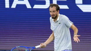 US Open: Medvedev en colère contre la "décision" de l'arbitre et non le photographe qui l'a causée