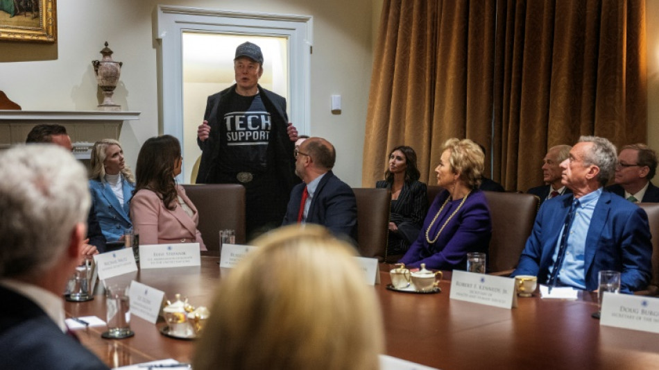 Musk stars at Trump's first cabinet meeting