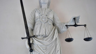 Le côté obscur de vendanges en Champagne au coeur d'un procès pour traite d'êtres humains