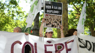 Un alto tribunal de Francia veta la reintroducción de un criticado pesticida