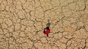 Miles de desplazados en el sur de Irak por la sequía