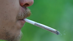 Cannabisverbot in Englischem Garten in M&uuml;nchen ist rechtswidrig - Kiffen erlaubt