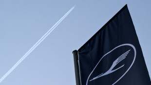 Lufthansa will ihren Gewinn trotz Iran-Krise dieses Jahr steigern 