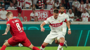 Demirovic sei Dank: VfB besiegt St. Pauli