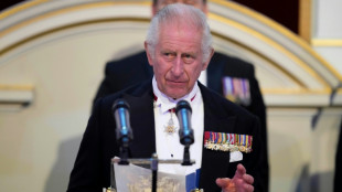 El rey Carlos dar&aacute; un discurso en el Congreso de EEUU durante su visita