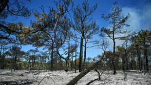 Incendies: deux hommes suspect&eacute;s de plusieurs d&eacute;parts de feu dans l'H&eacute;rault