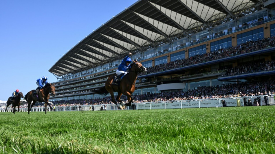 Ombudsman gives Gosden another International, Derby hero Lambourn loses