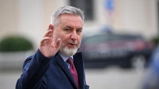 Il Copasir approva all'unanimità la relazione su Paragon