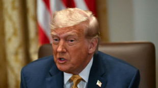 Trump menace d'une nouvelle volée de droits de douane, cuivre en tête