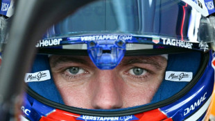 Red Bull's Verstappen takes pole position for Singapore GP sprint race