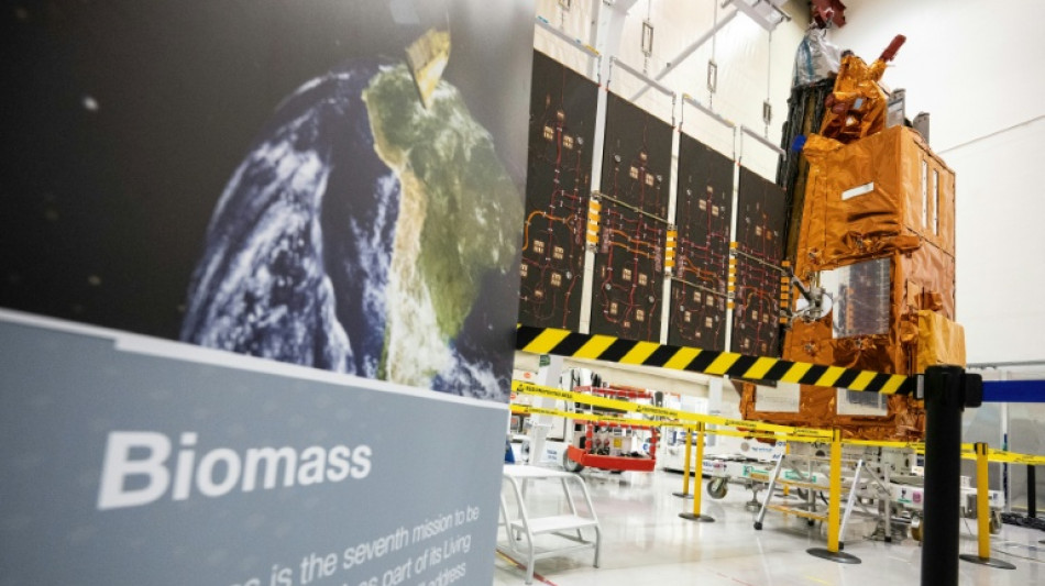 Europa planea crear una potencia satelital para rivalizar con Starlink de Musk